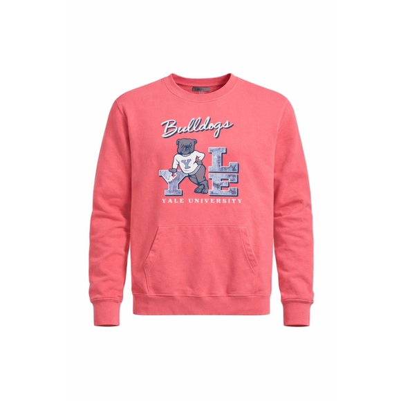 Paris Sport Club Other - Vintage 90s Yale Bulldogs Men’s Paris Sport Club Crewneck Sweatshirt Pink Sz L